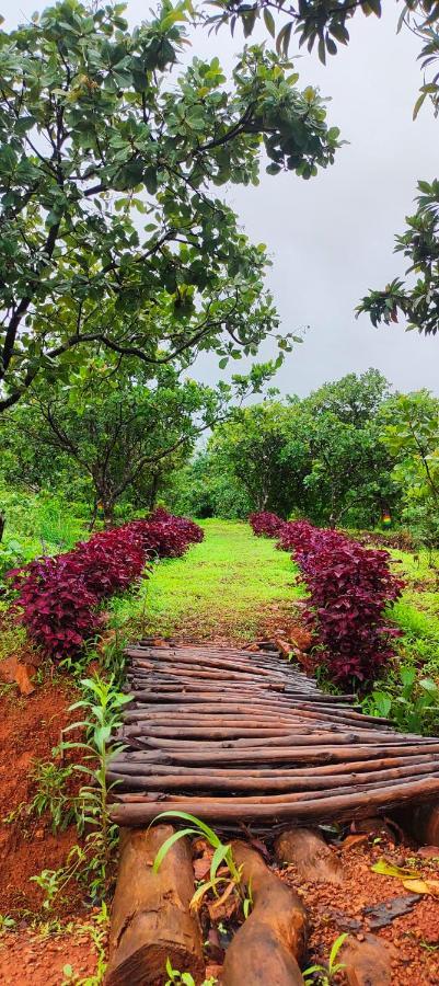 Chalobahills Farmstay Resort Ajra Kültér fotó