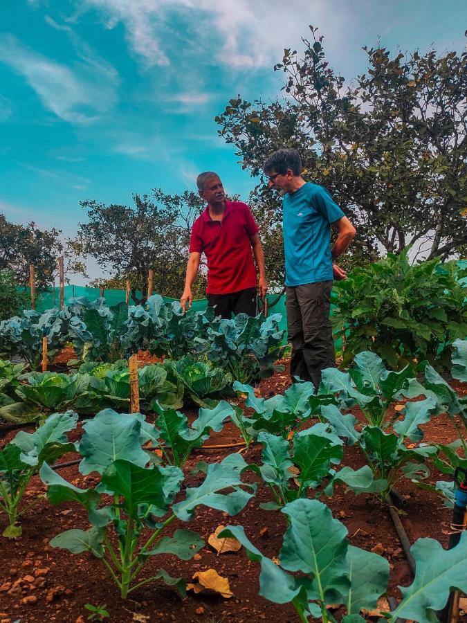 Chalobahills Farmstay Resort Ajra Kültér fotó