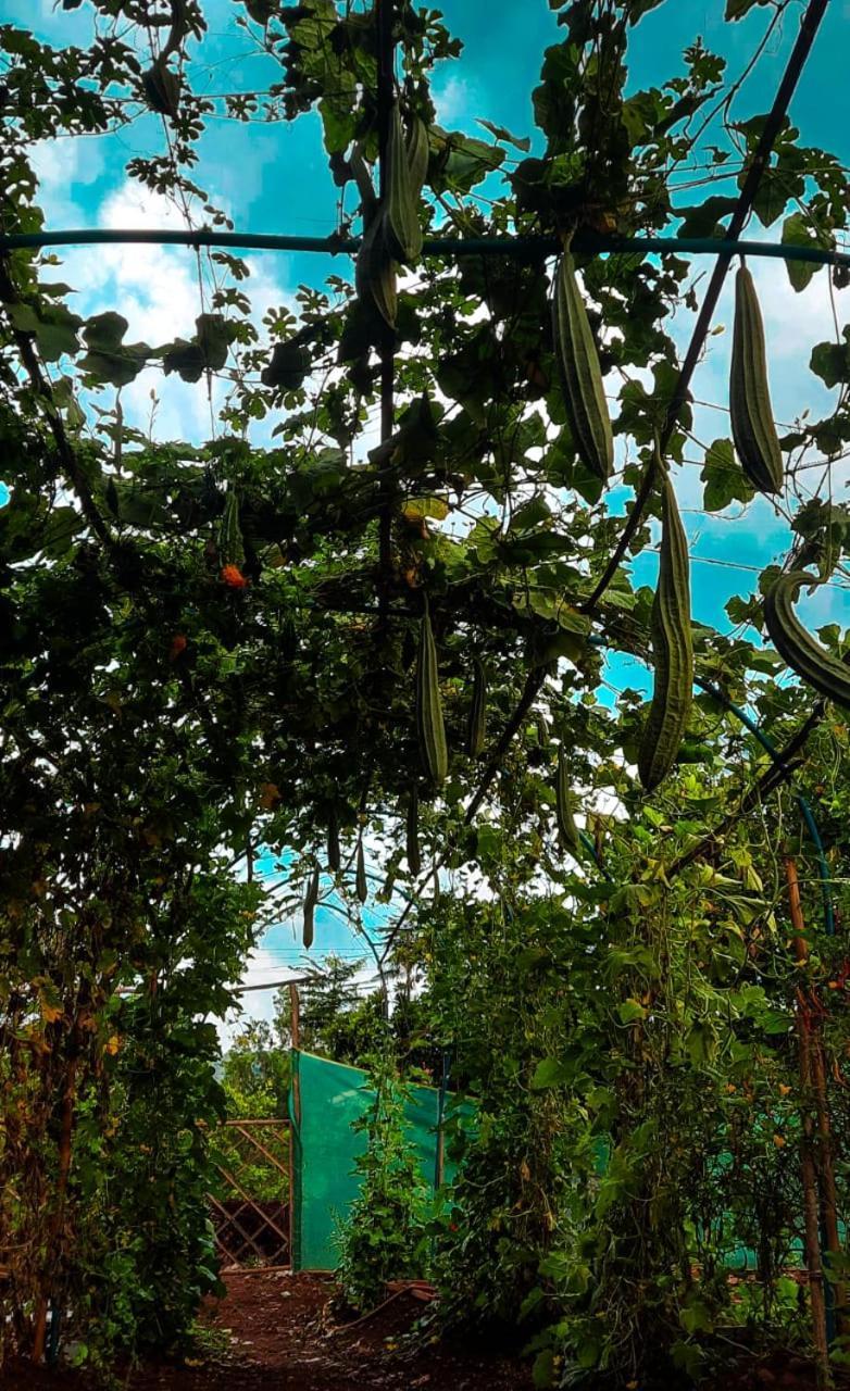 Chalobahills Farmstay Resort Ajra Kültér fotó